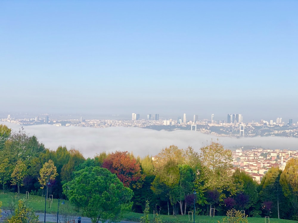 a city skyline with trees and water