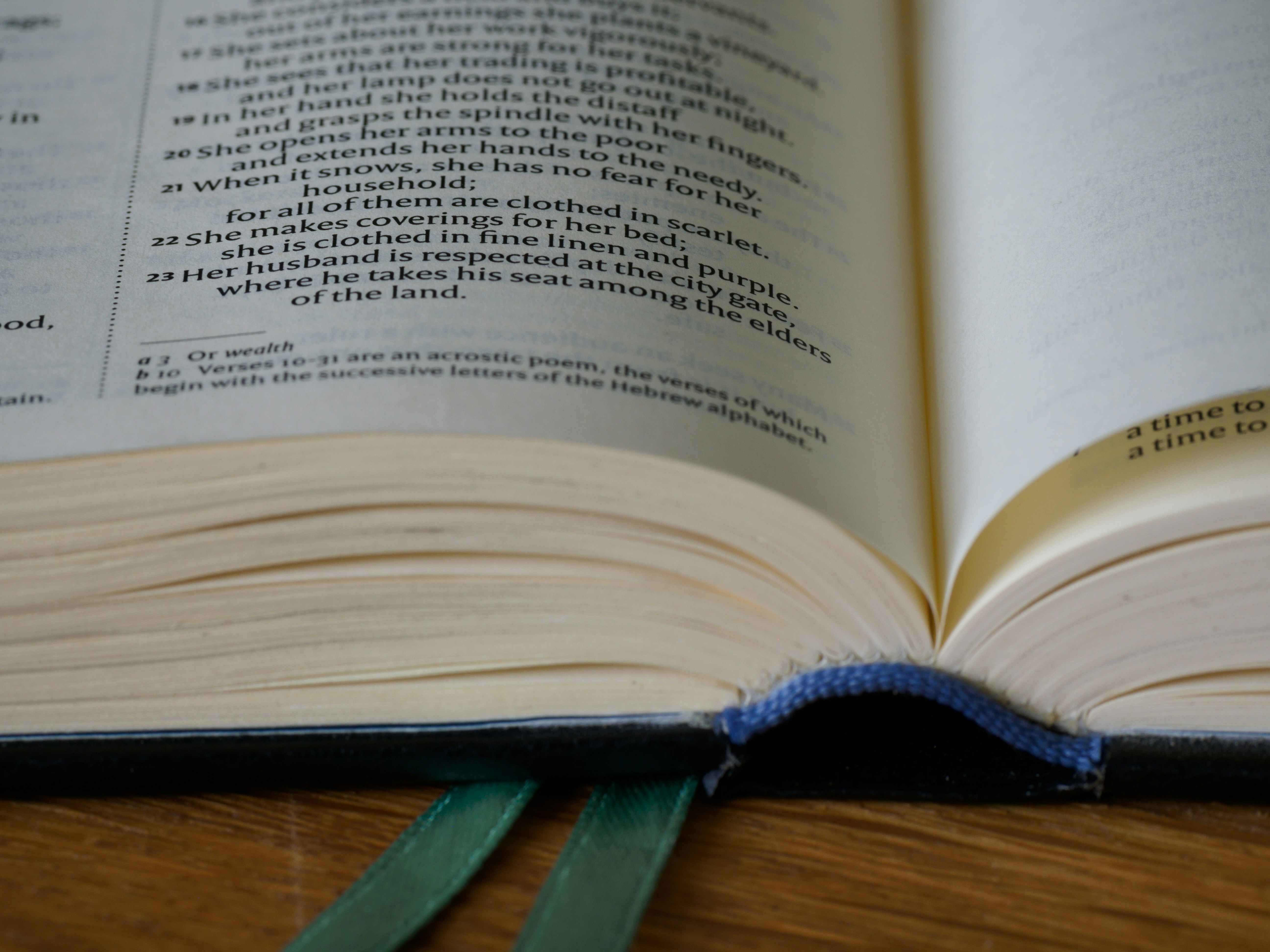 Photo by brett_jordan