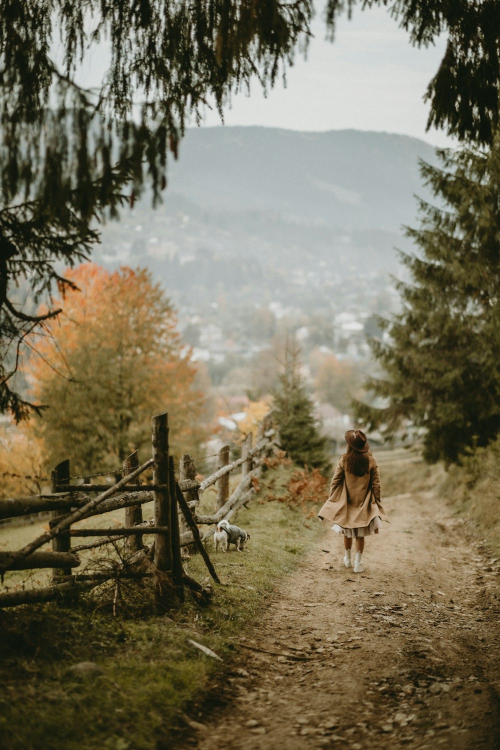 a person walking a dog on a dirt path in a forest