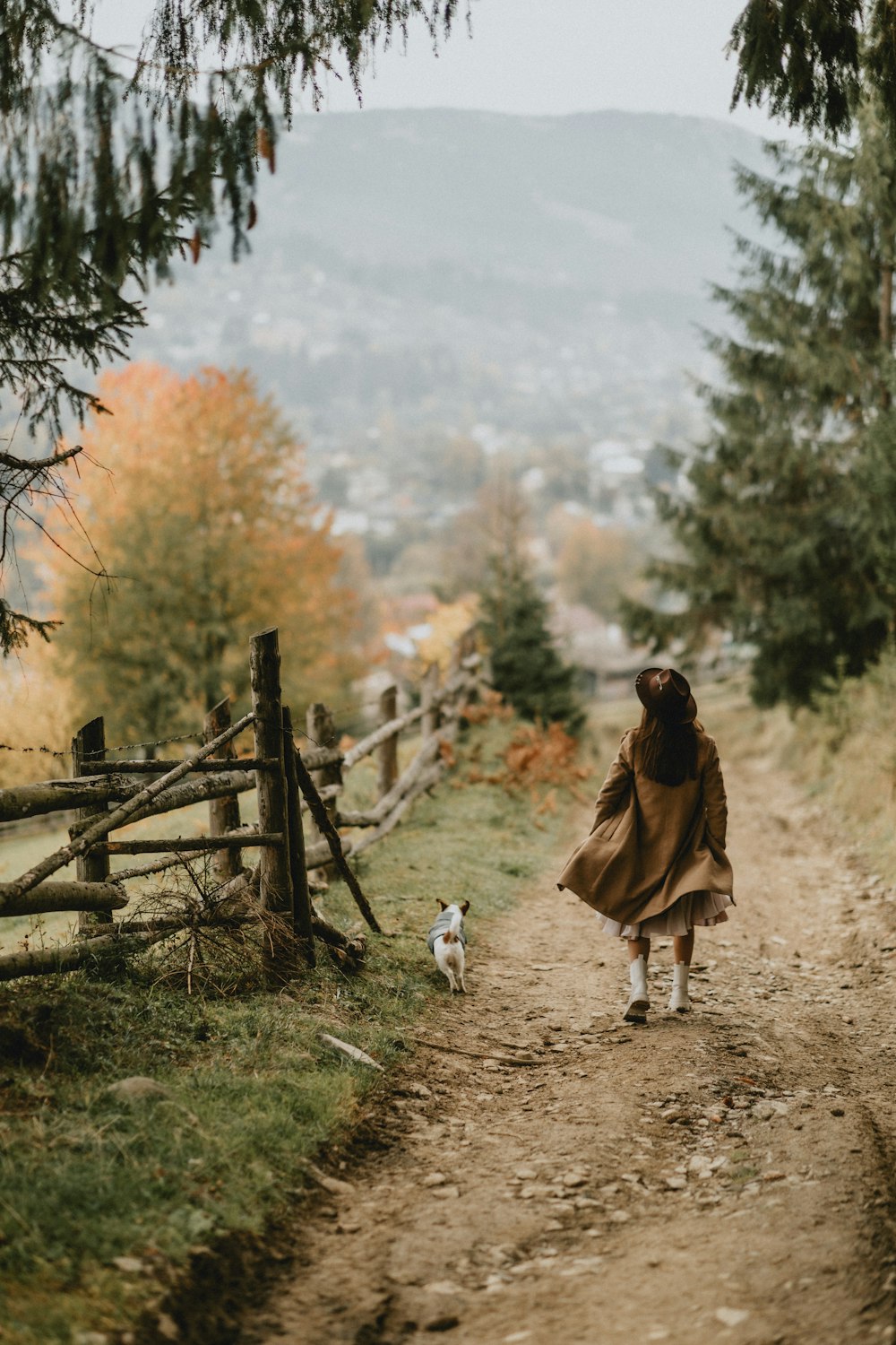 a person walking a dog on a dirt path in the mountains