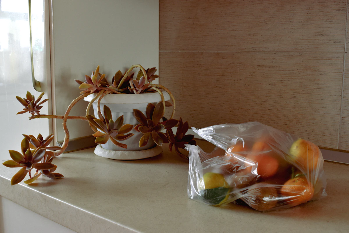 Villa Grocery Stocking