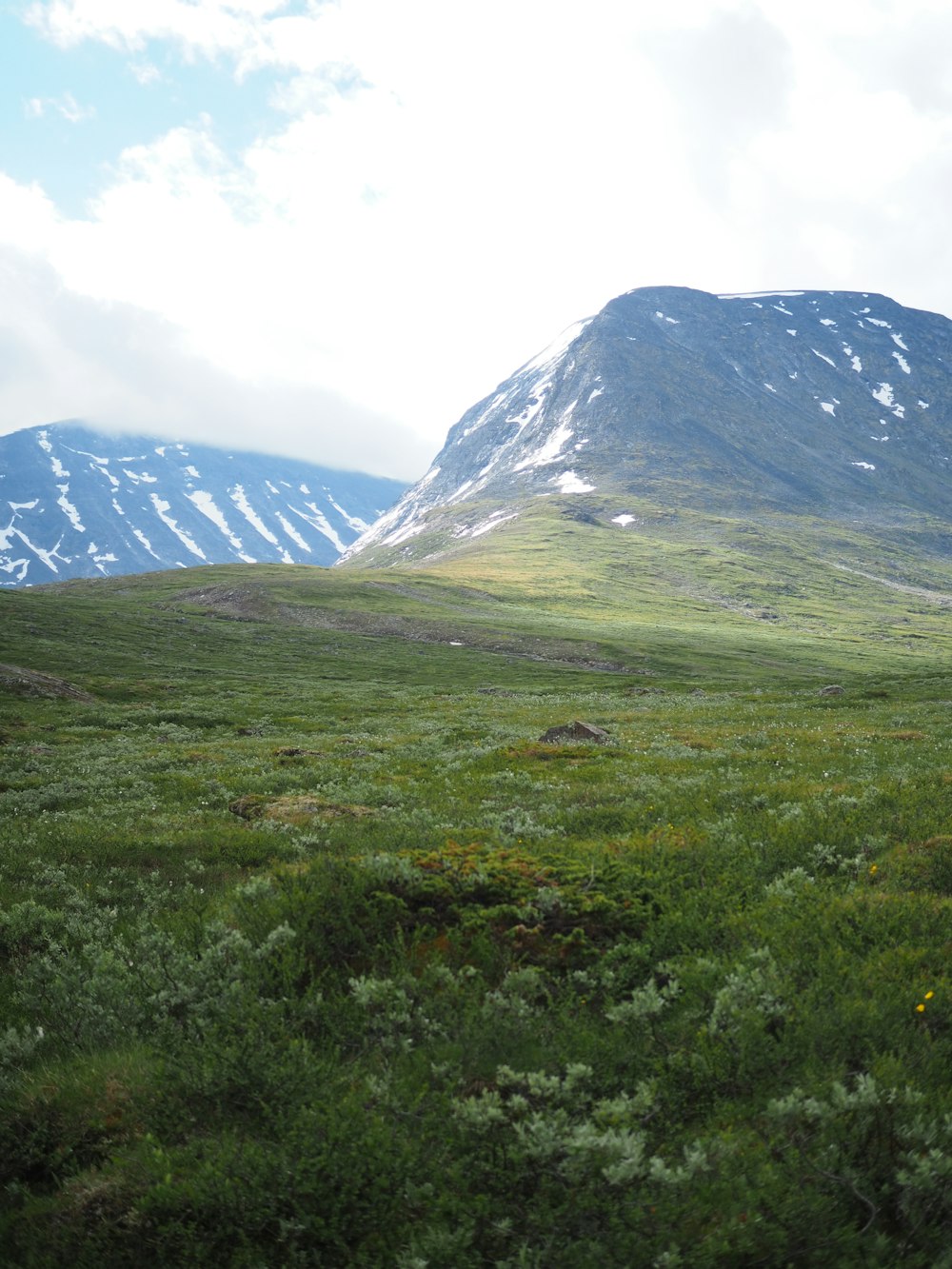 a grassy area with a mountain in the background