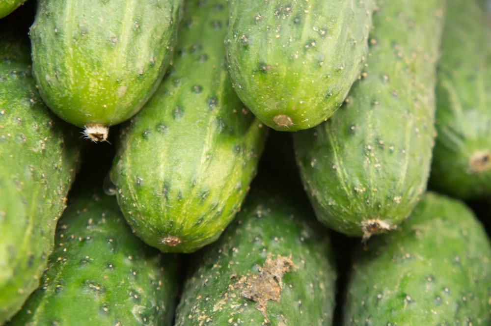 a group of cucumbers