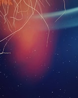 A cosmic landscape illustrating the concept of galactic transactions.