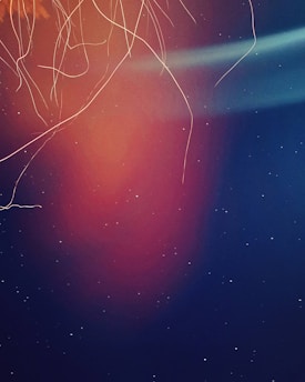 A cosmic scene with dark blue and red hues, featuring thin, glowing lines resembling light trails. Small, white specks scattered throughout suggest a starry sky.