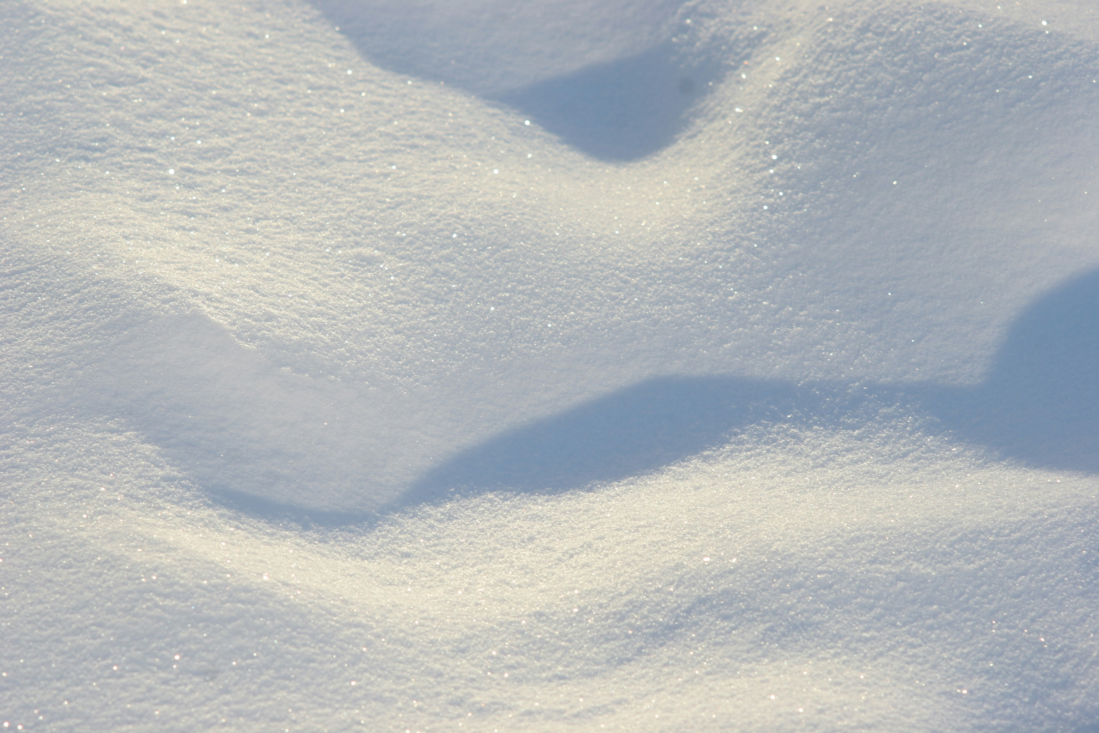 Photo by tashakostyuk