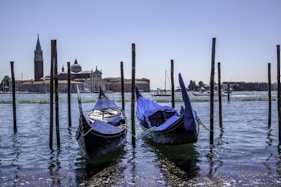 several boats in a harbor