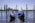 several boats in a harbor
