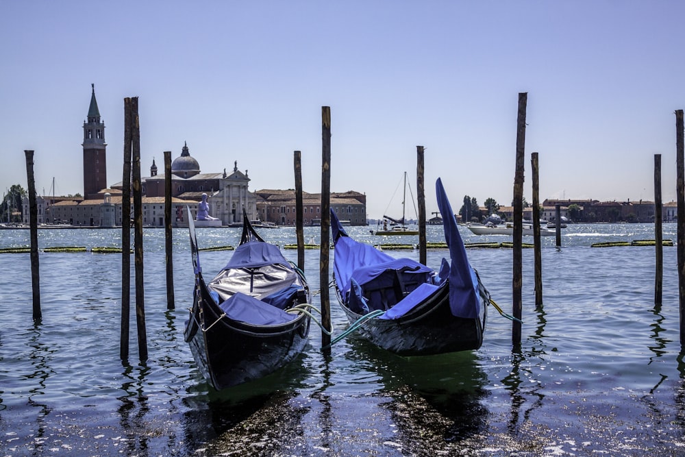 vários barcos em um porto