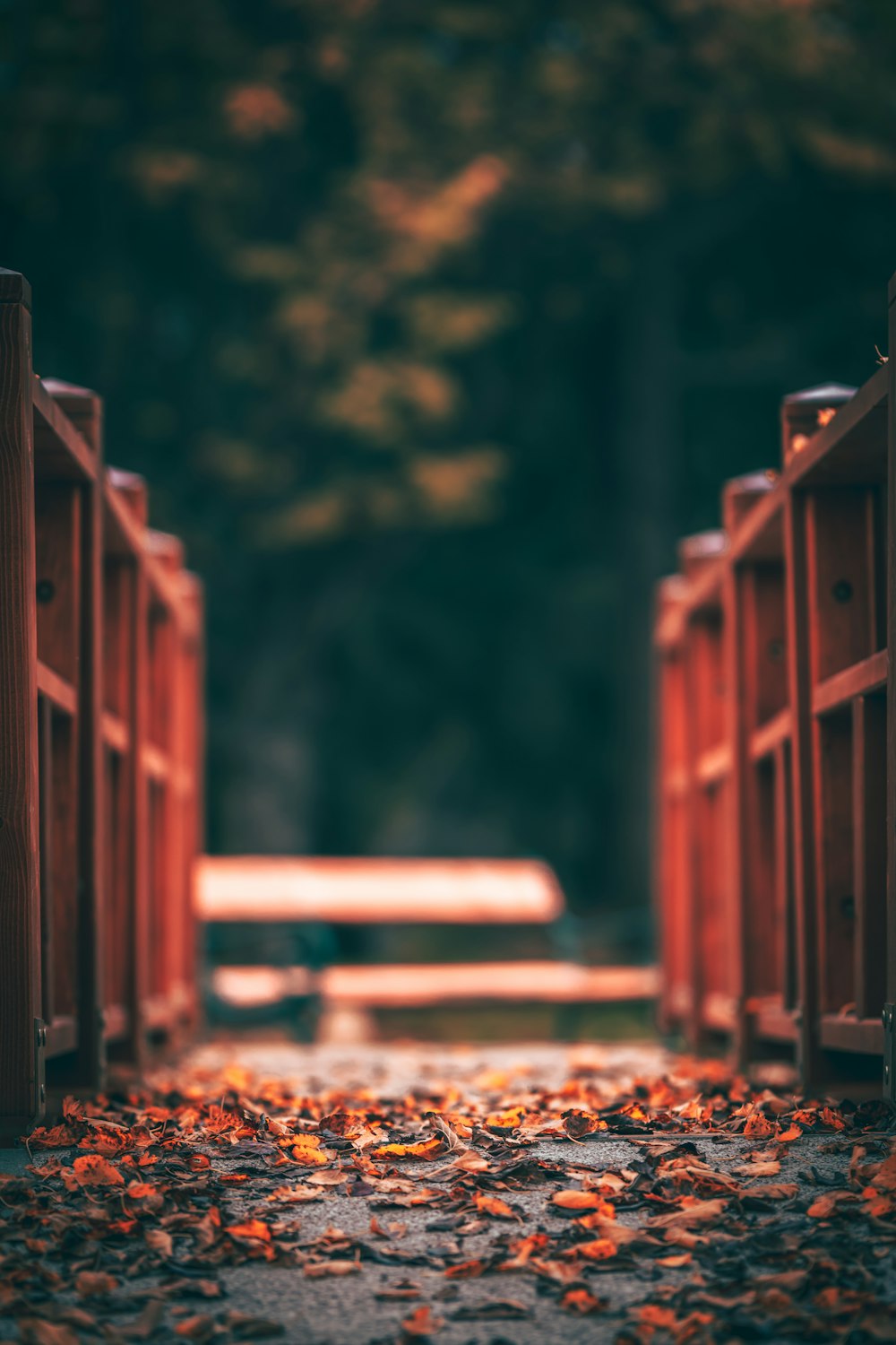 a bench in a park