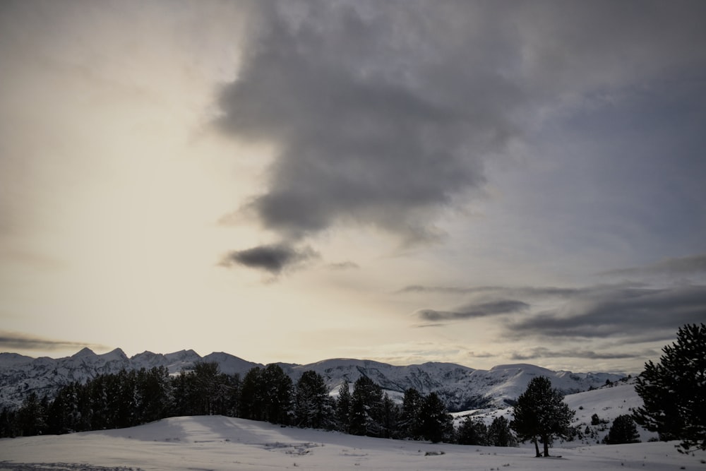 a snowy landscape with trees and mountains