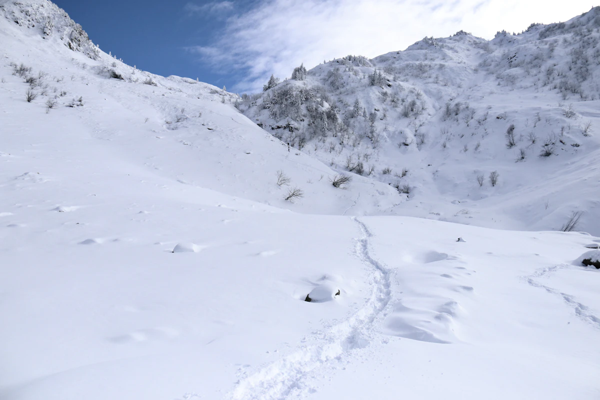 Open snow-covered mountainside under a pale winter sky