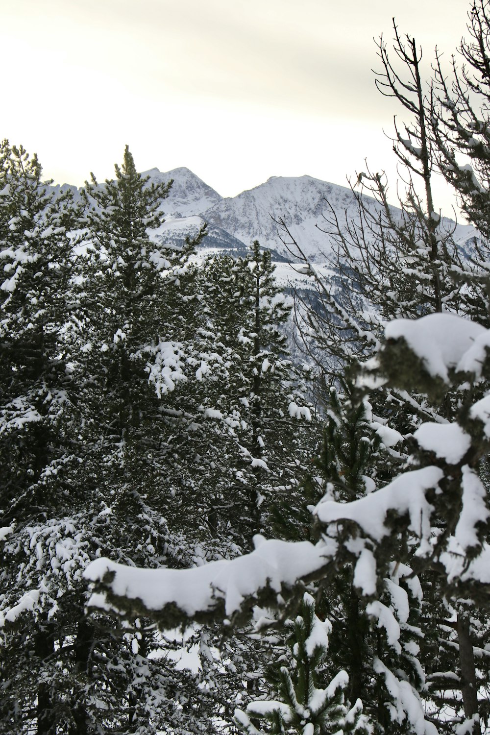 a snowy mountain range