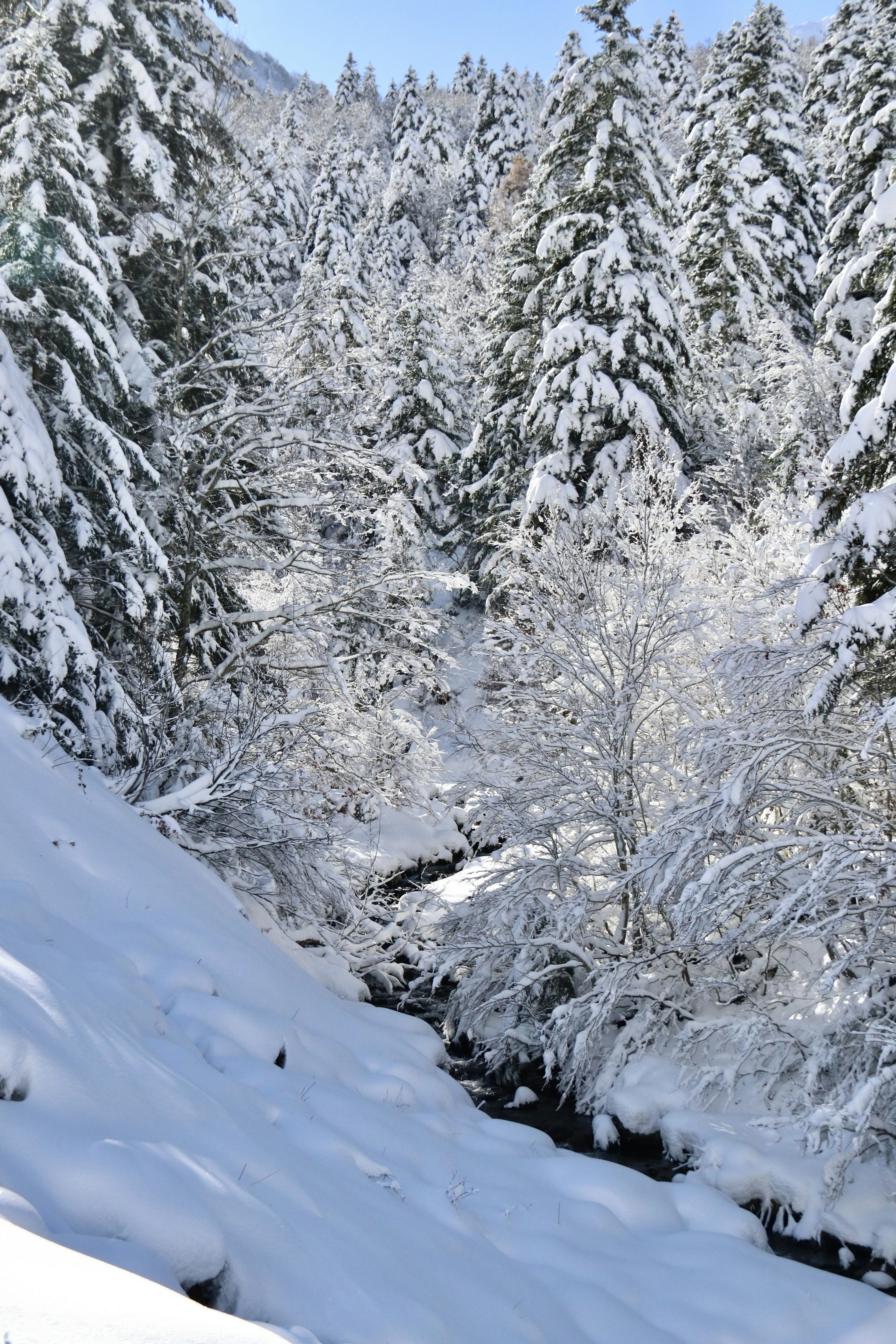 winter snow mountain wallpaper, wallpaper, Ski Trip Outfits for Beginners: What to Wear 3