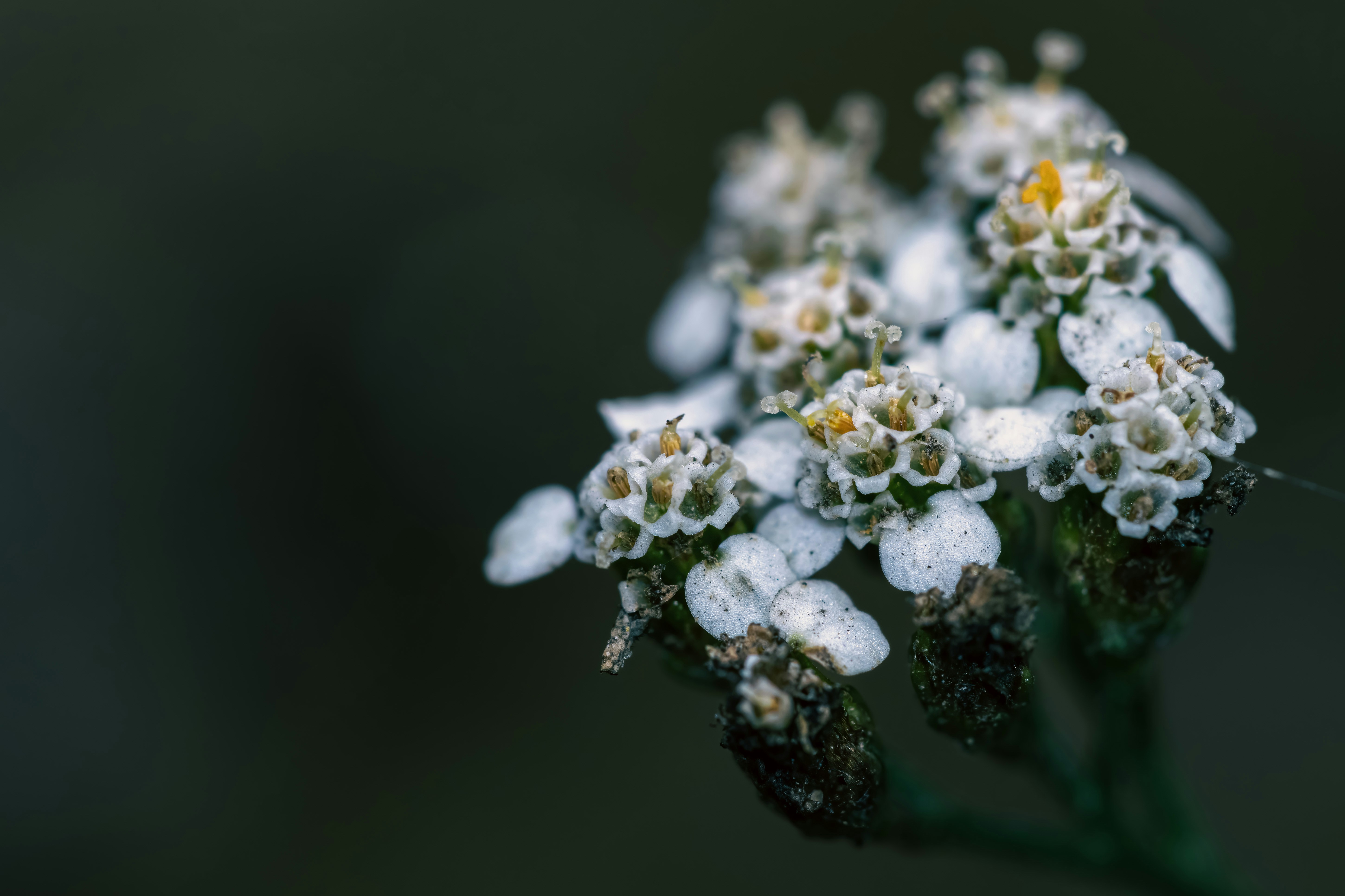 Photo by einthomas