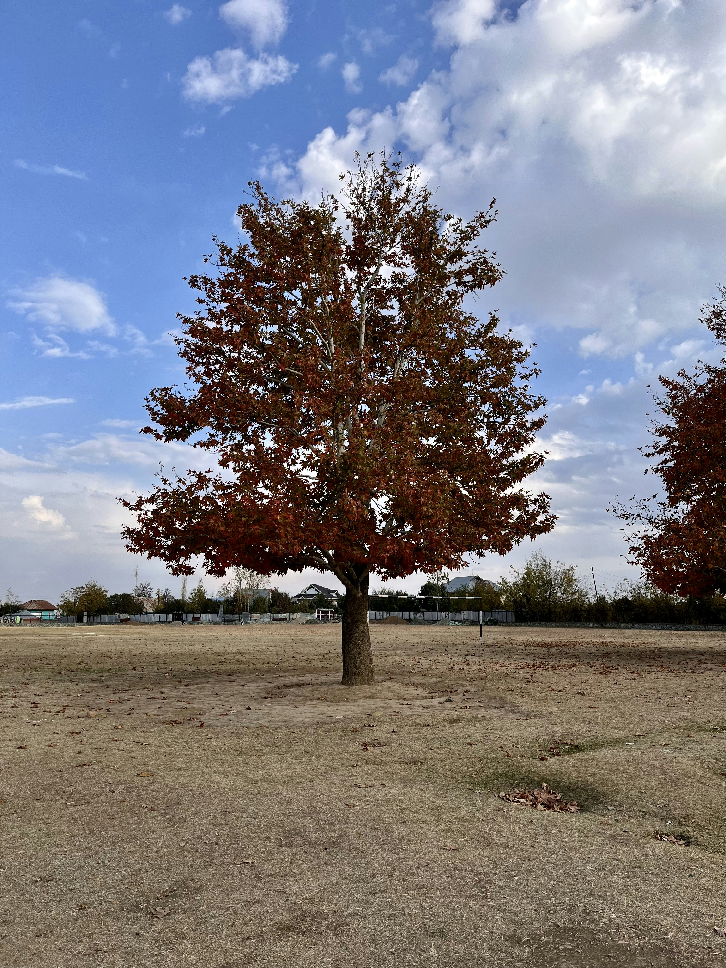 Photo by jatindersing19