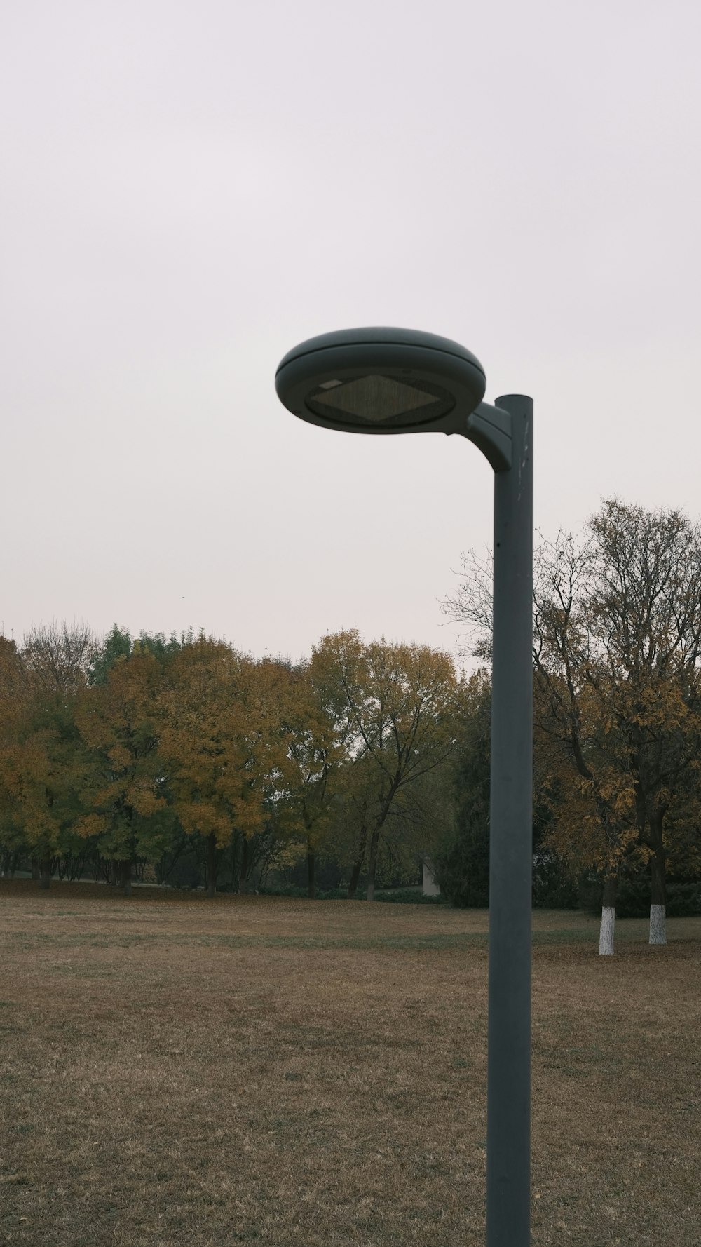 eine Metallstange mit Metallrahmen und Bäumen im Hintergrund