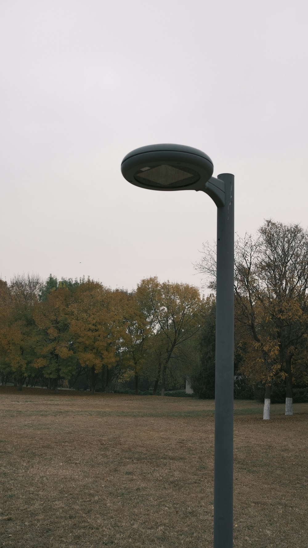a metal pole with a metal frame and trees in the background