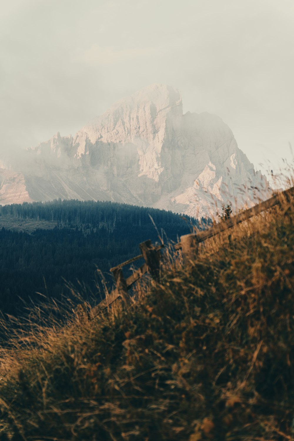 a snowy mountain with trees