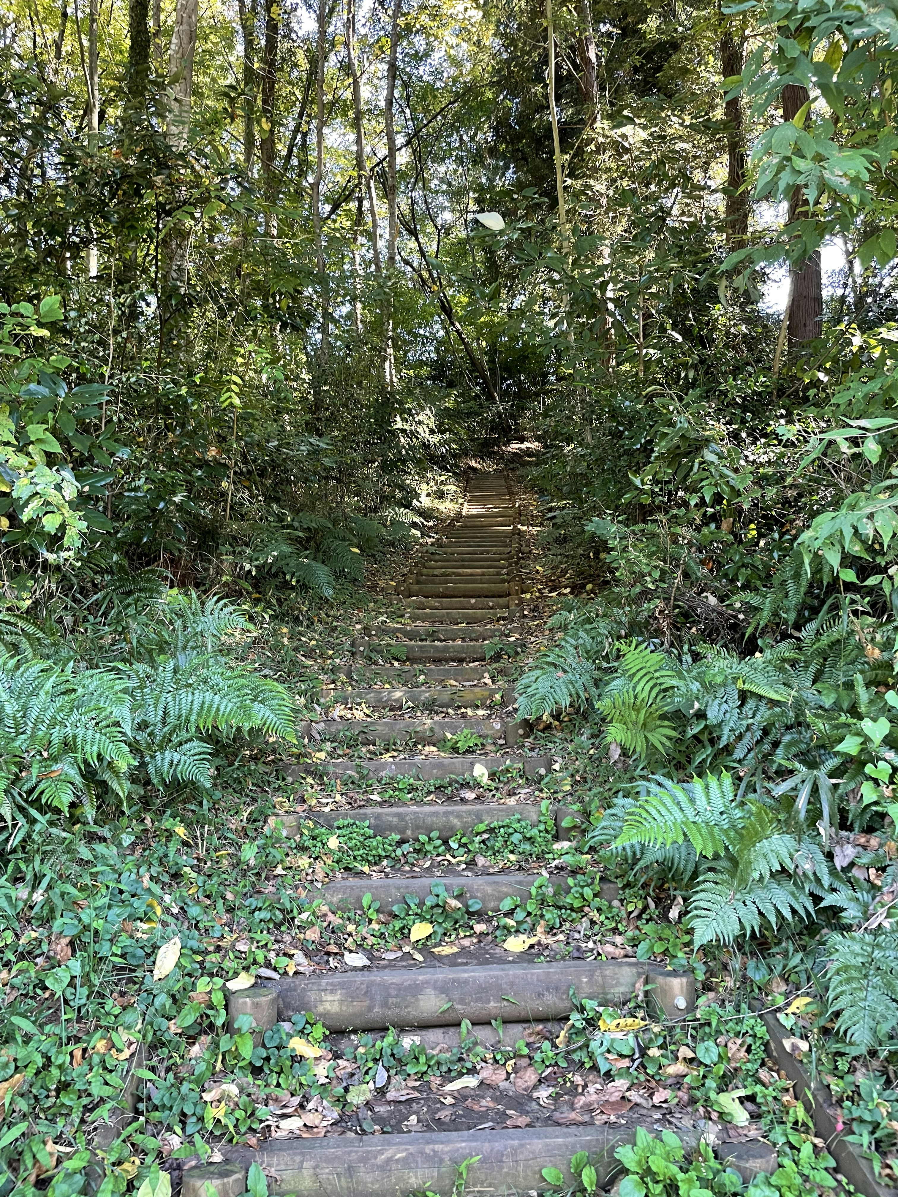 Photo by blueskywalker