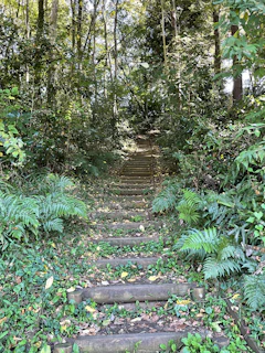 a stone path through a forest