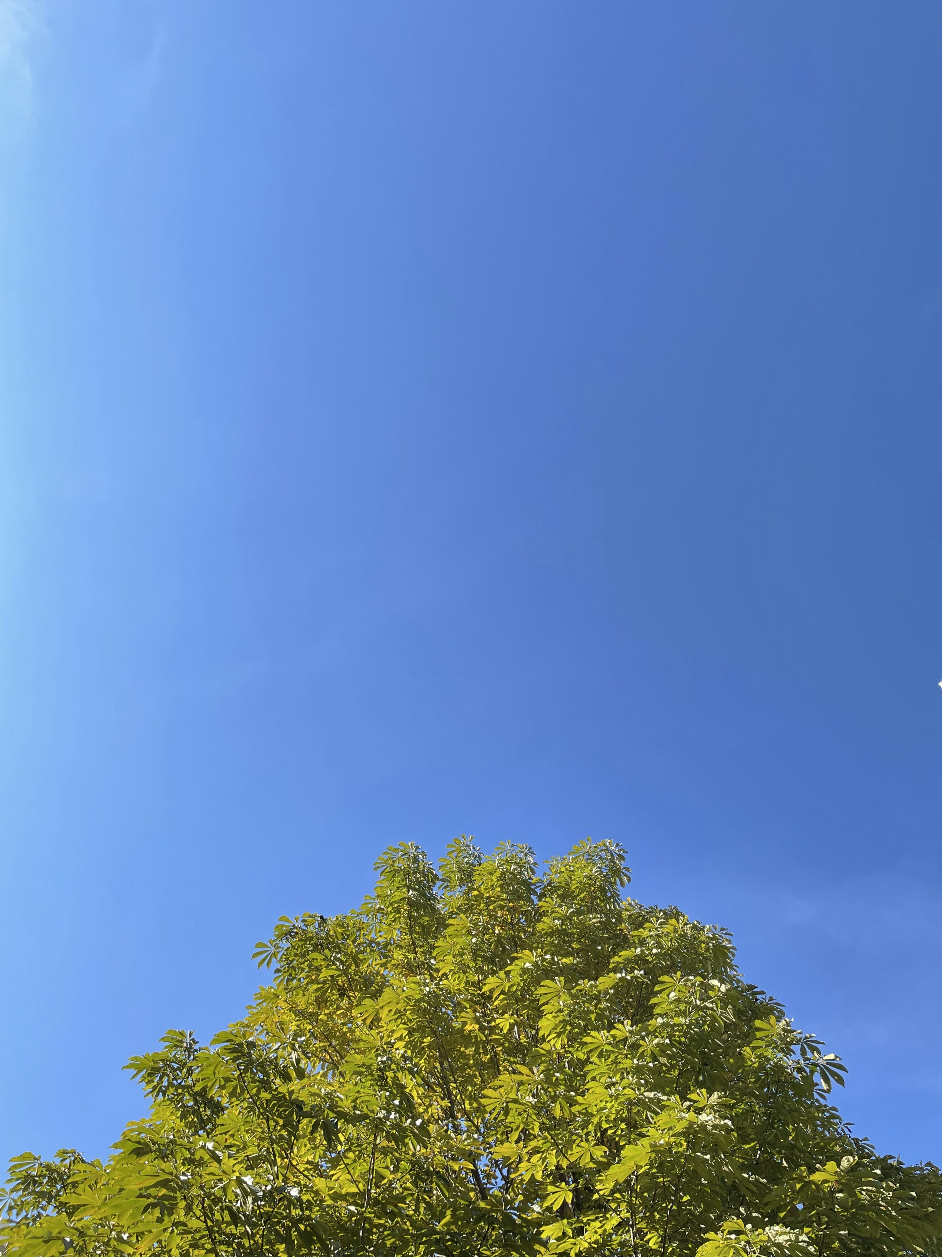 Photo by blueskywalker