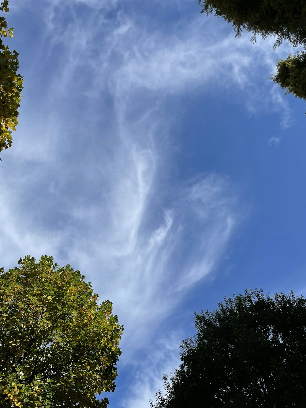 a blue sky with clouds