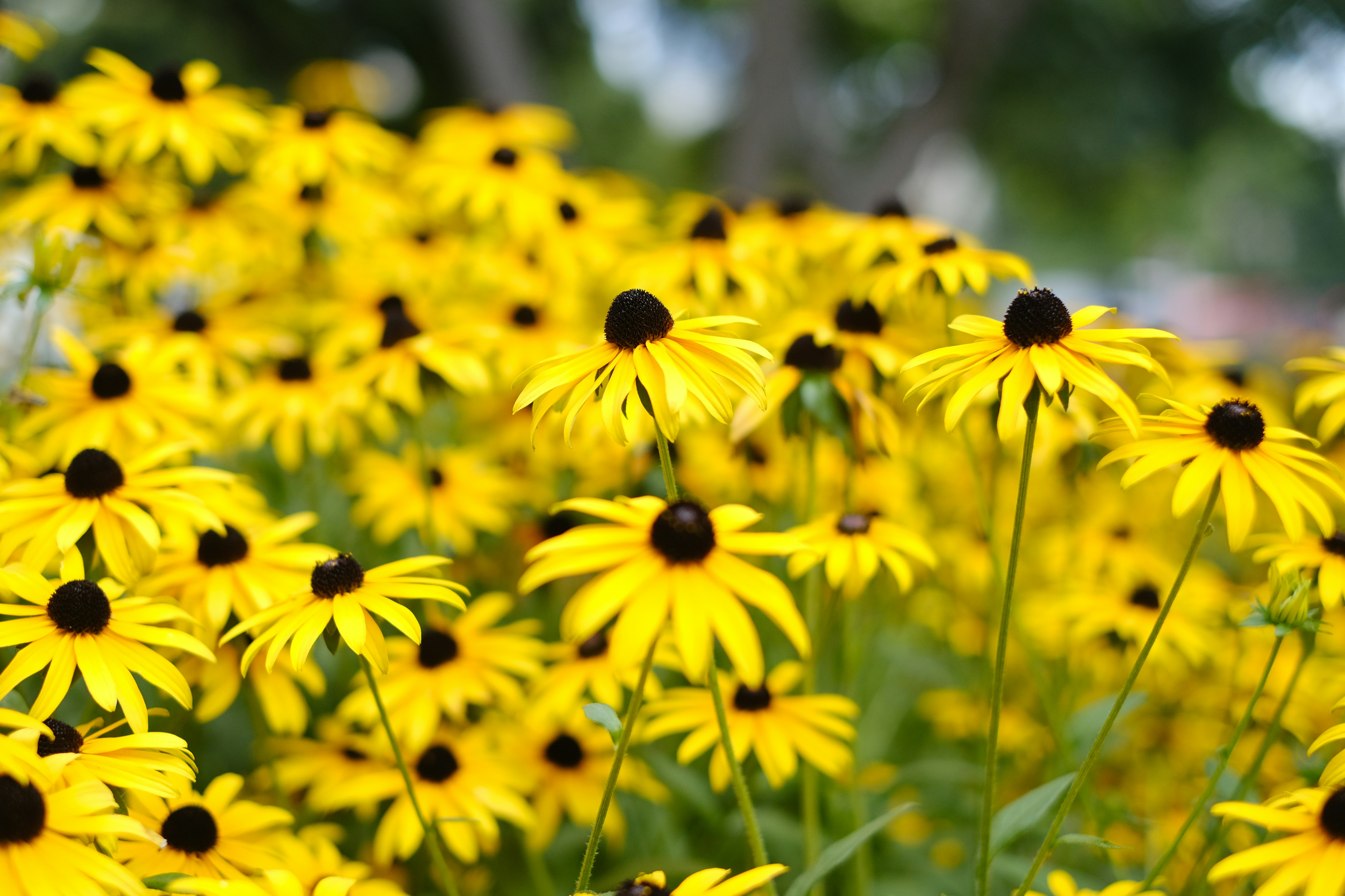 Photo by ingridphotographyuk