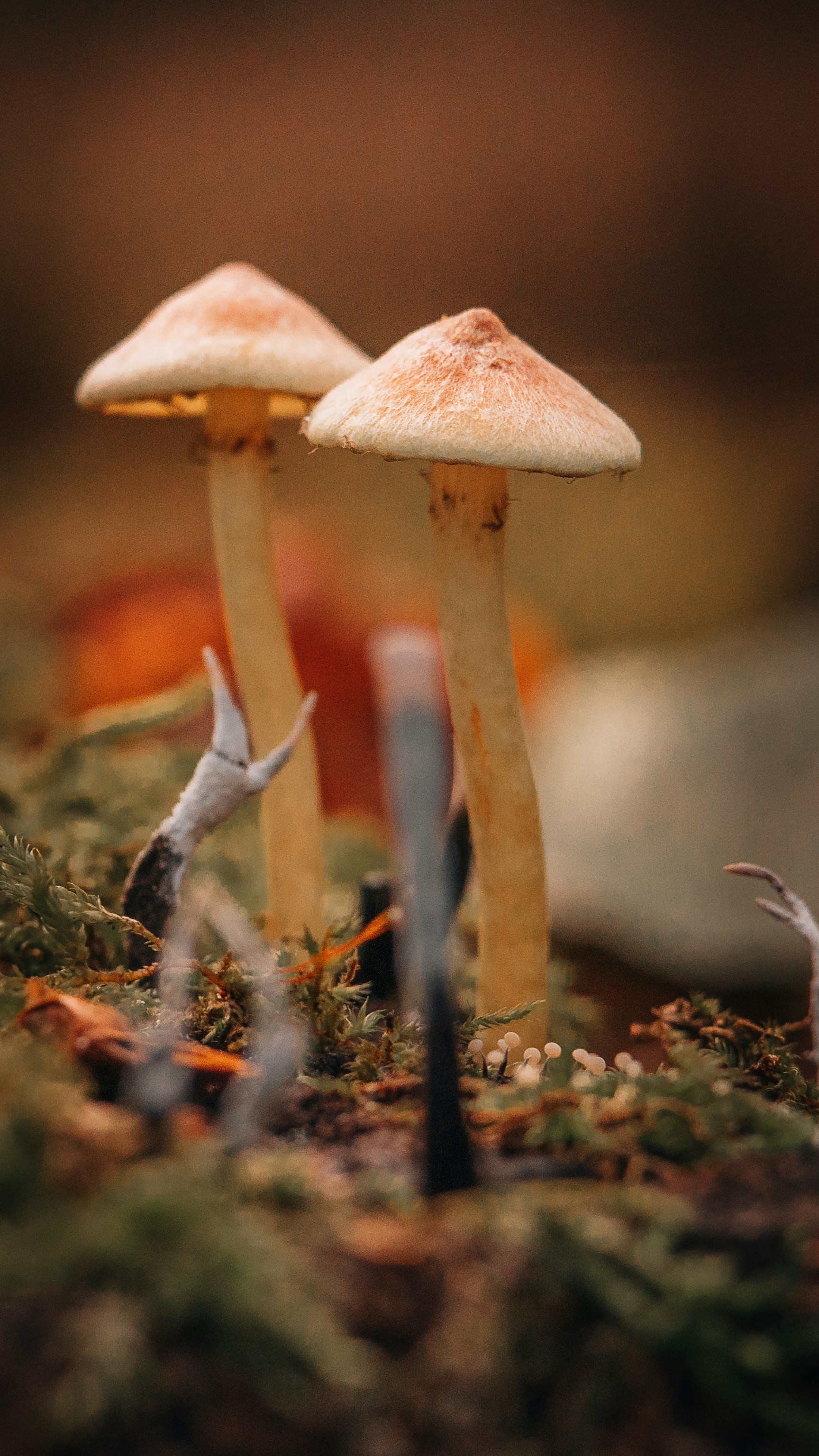 Photo by masoodaslami