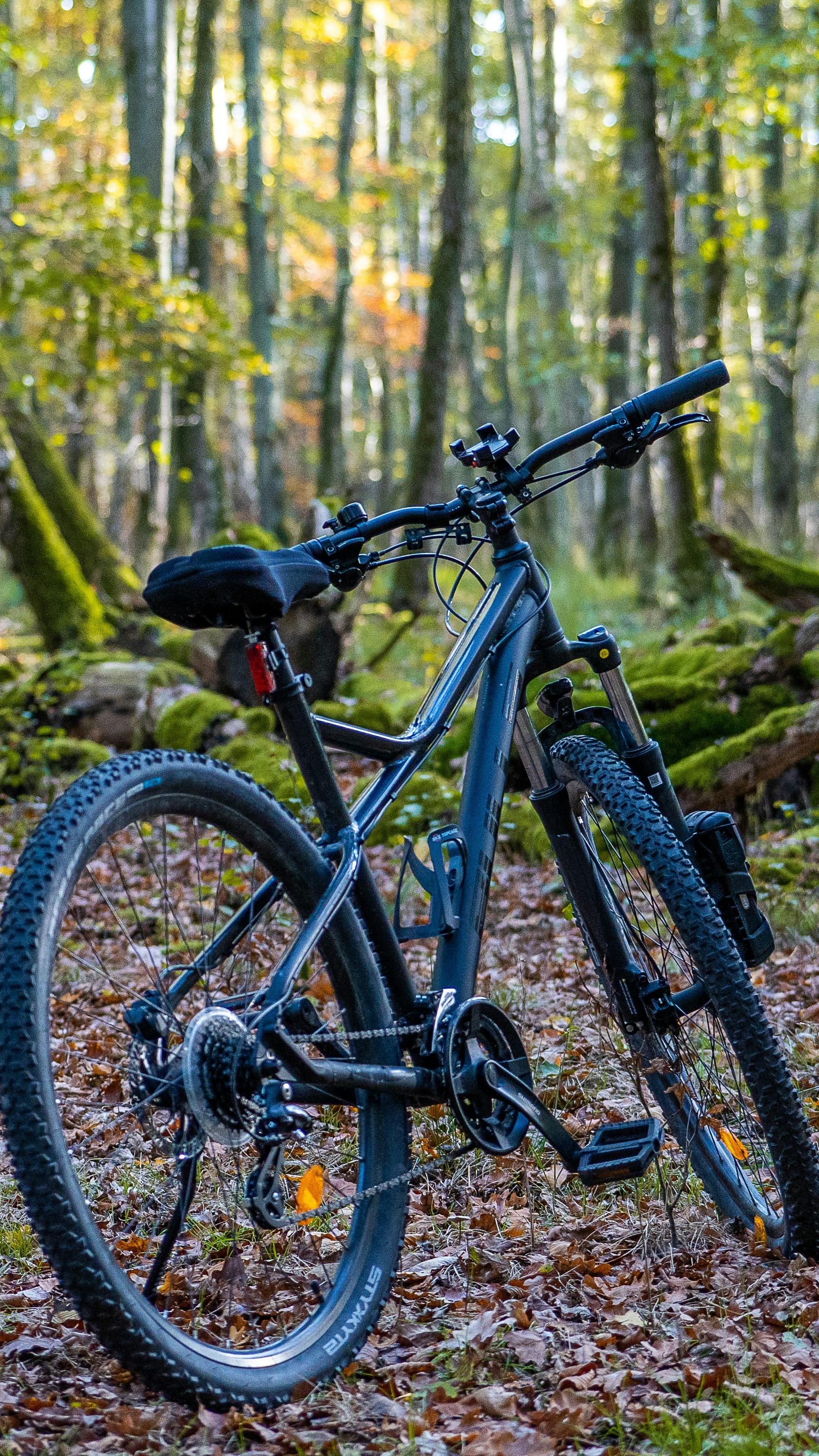 Photo by masoodaslami