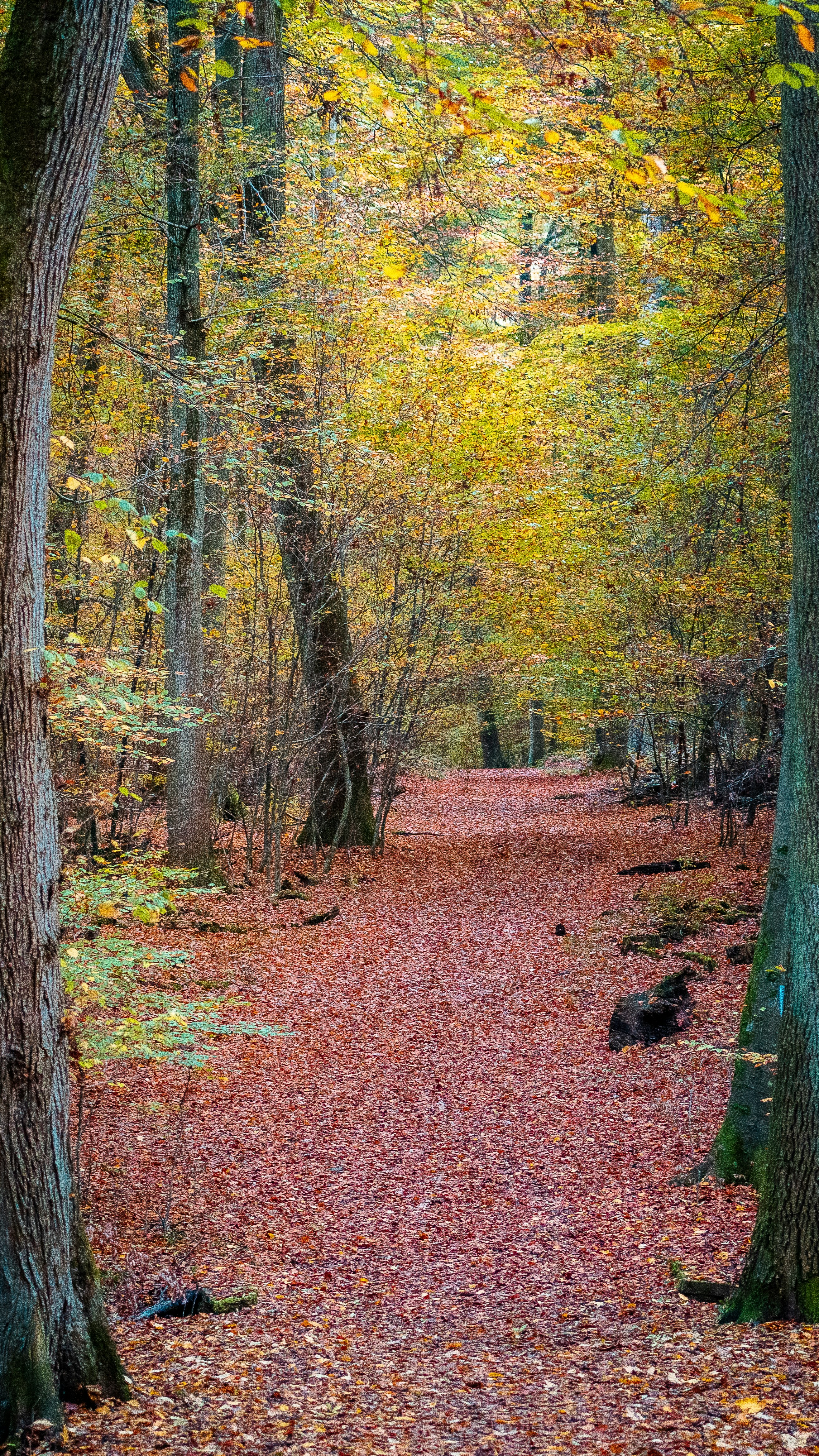 Photo by masoodaslami