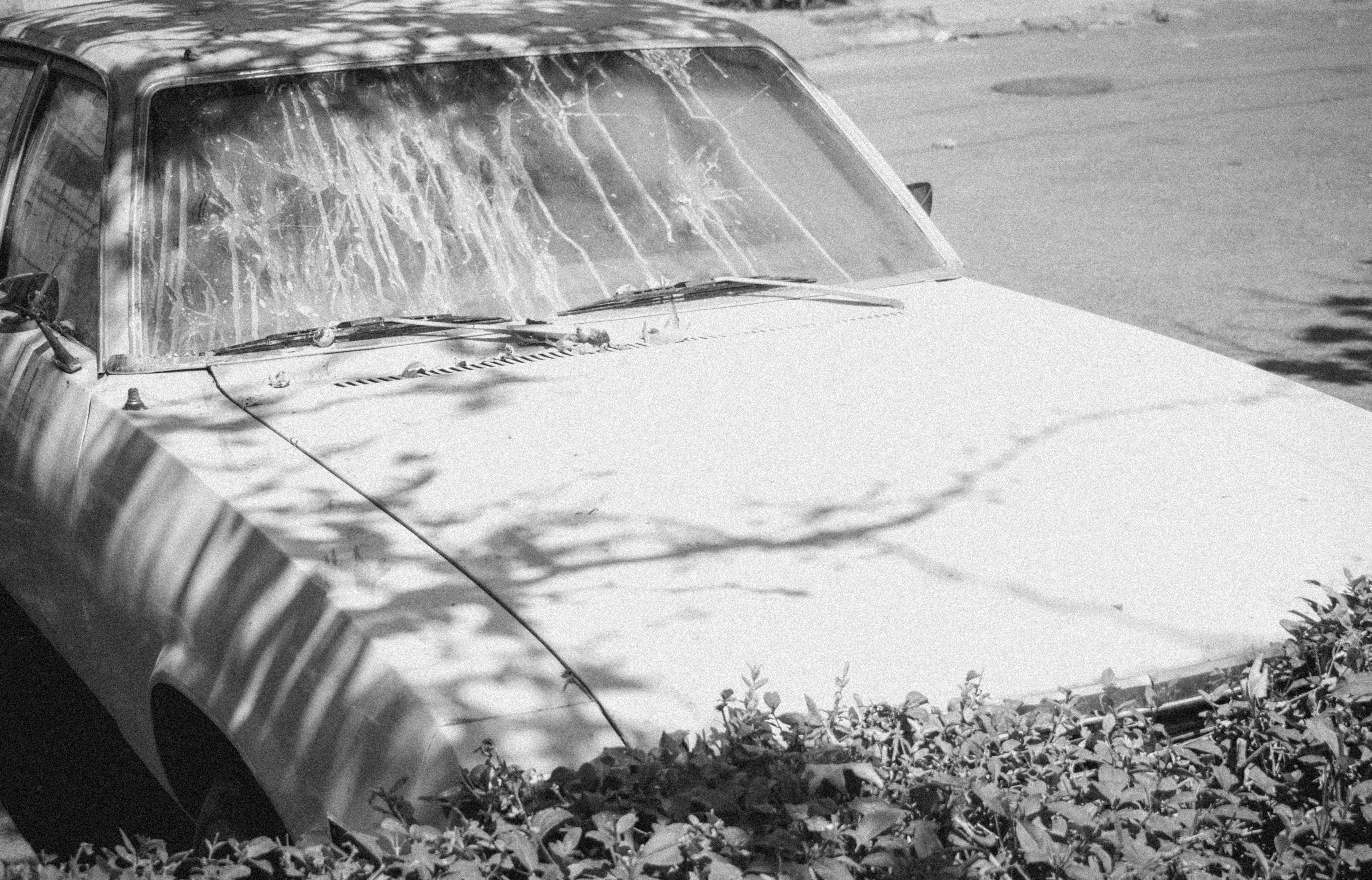 Photo by ilostmyselfout