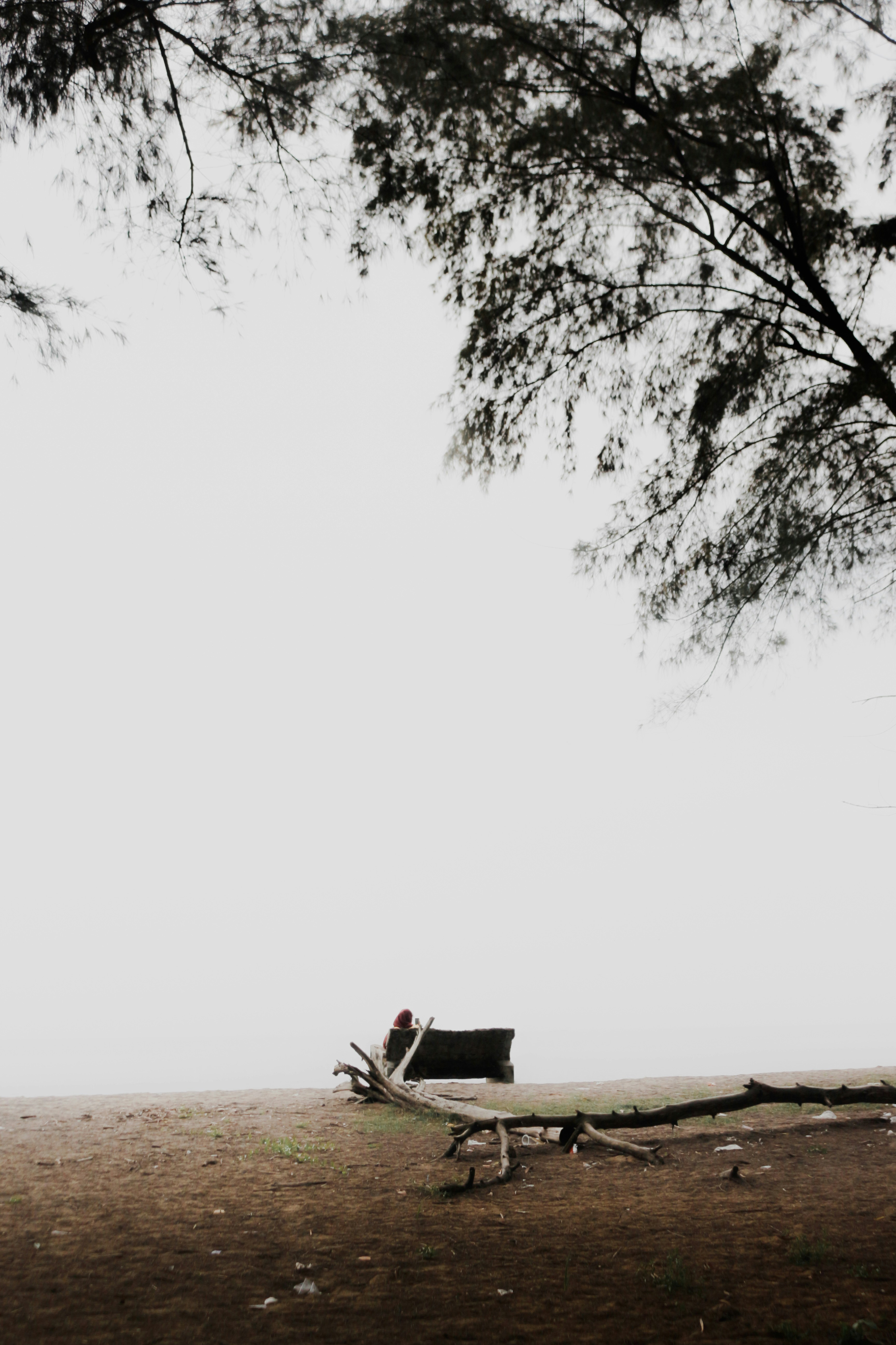 a person sitting on a bench