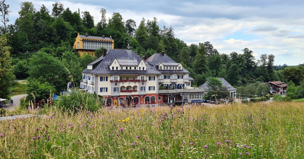 a large house with a garden in front of it