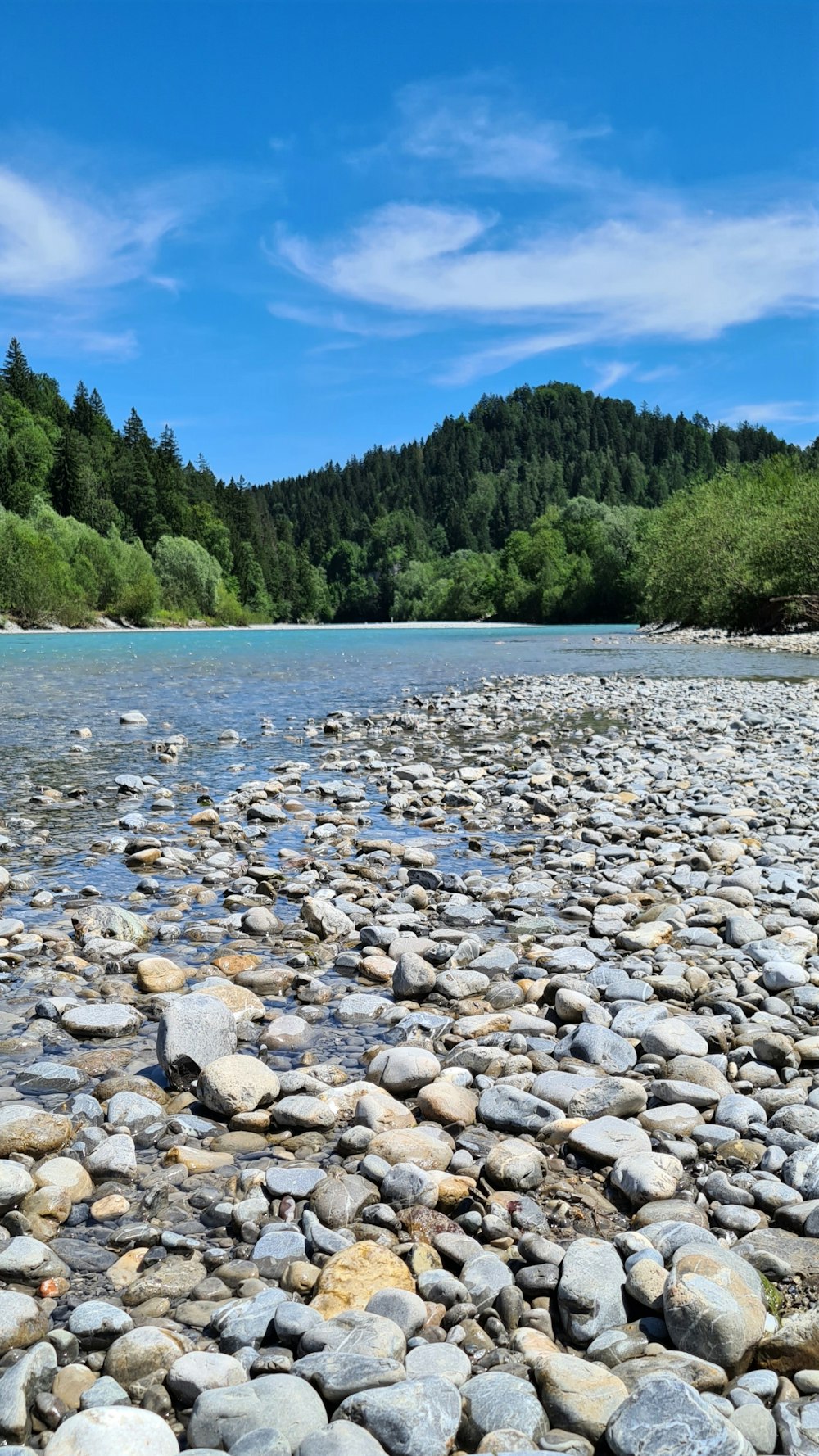 a river with rocks and trees