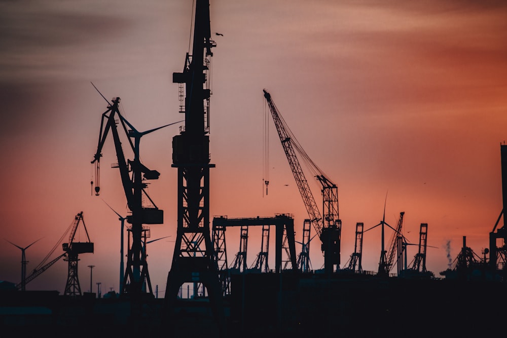 a group of cranes at sunset