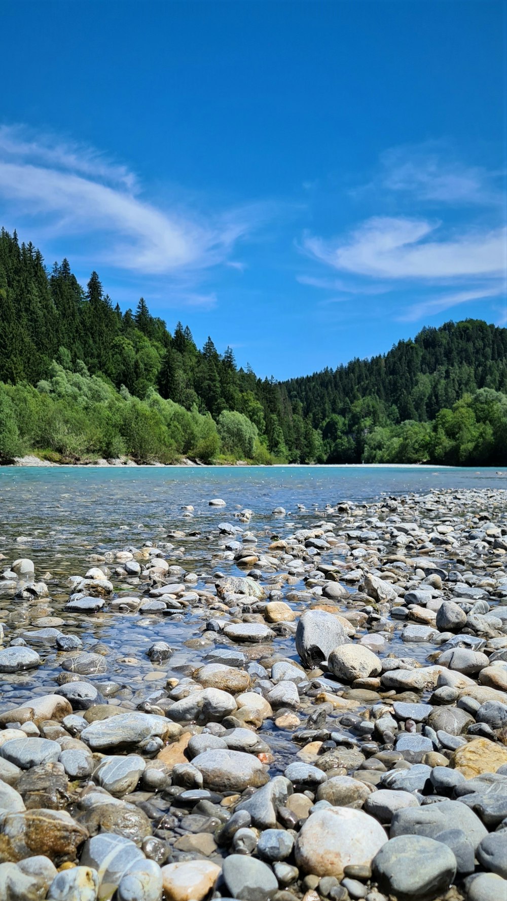 a river with rocks and trees