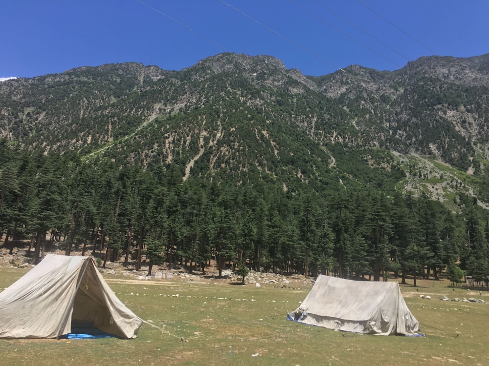 tents in a field