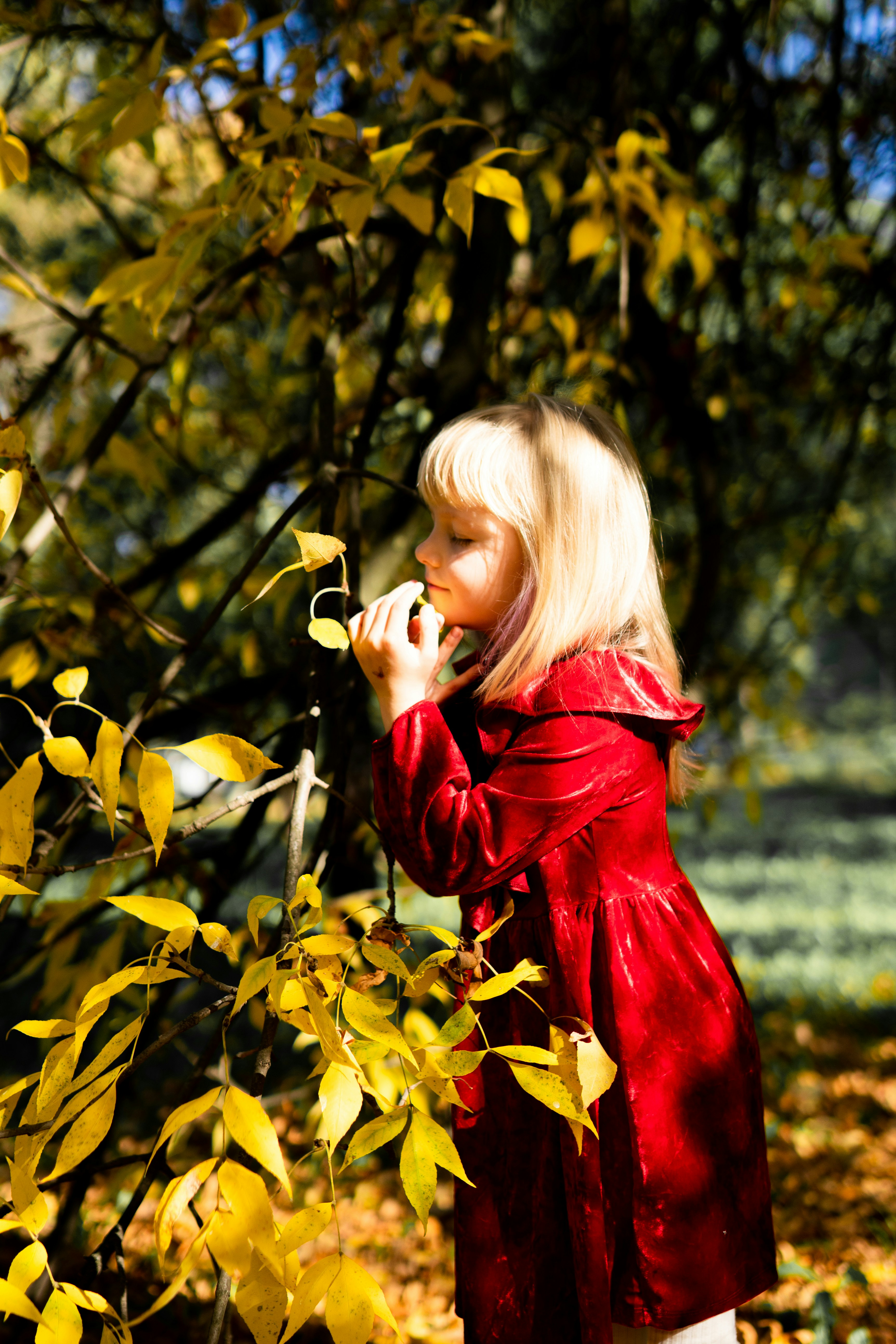 Photo by chernomortseva