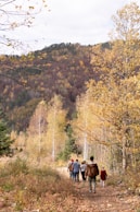 a group of people walking on a trail in the woods