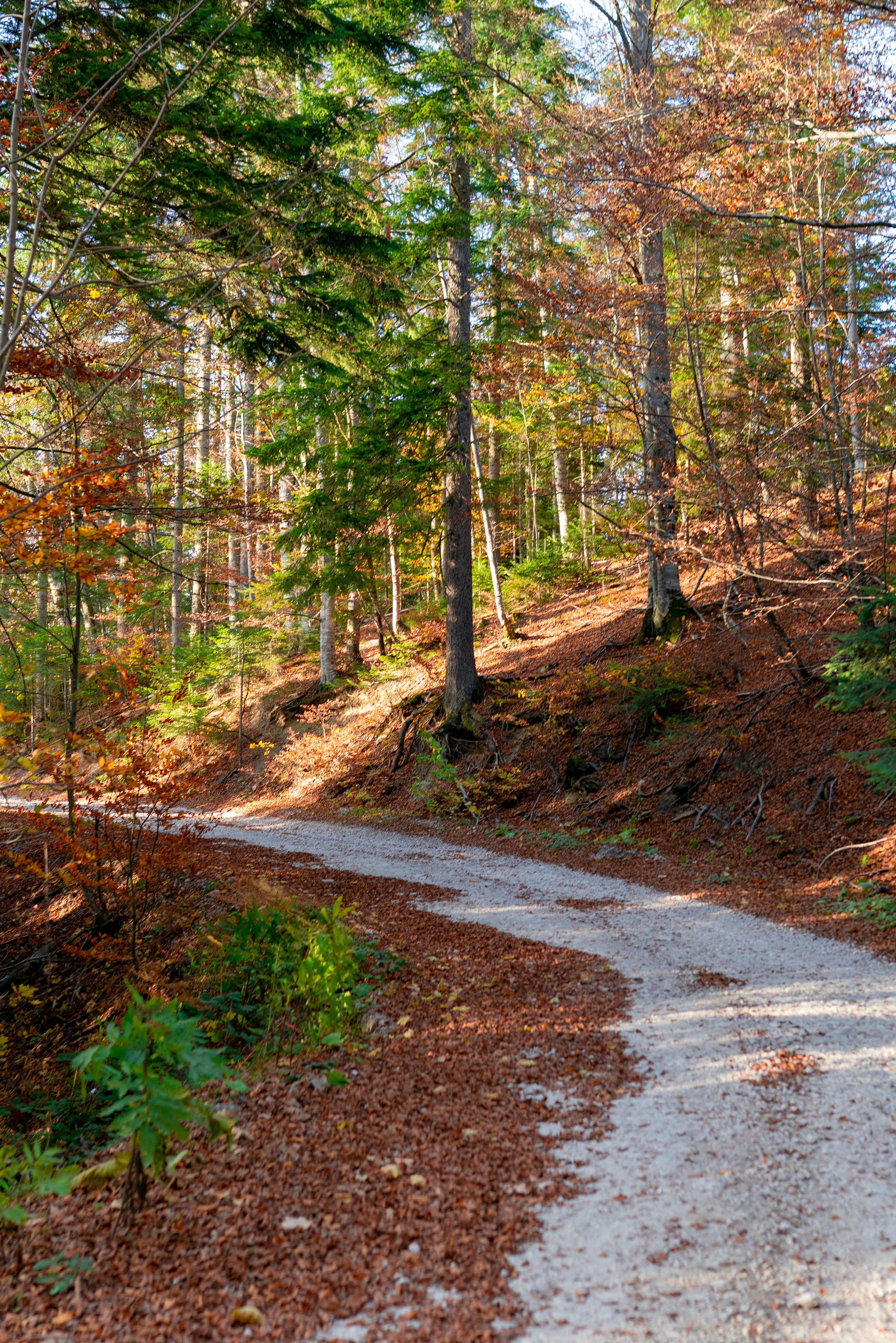 Photo by chernomortseva