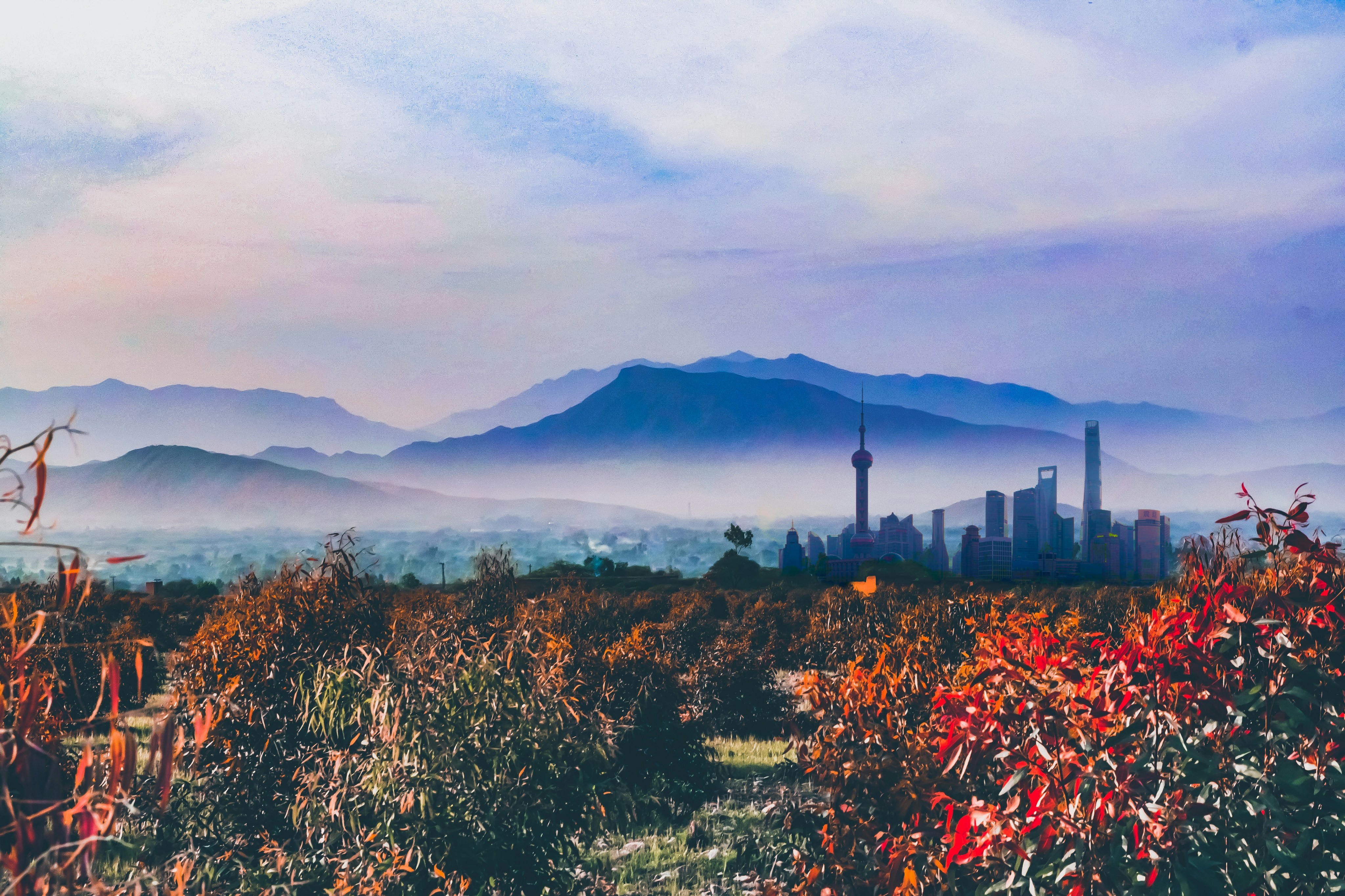 Photo by atifullah726