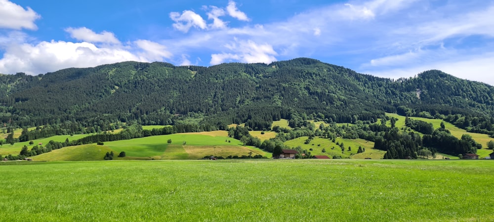 a green field with trees and hills in the background