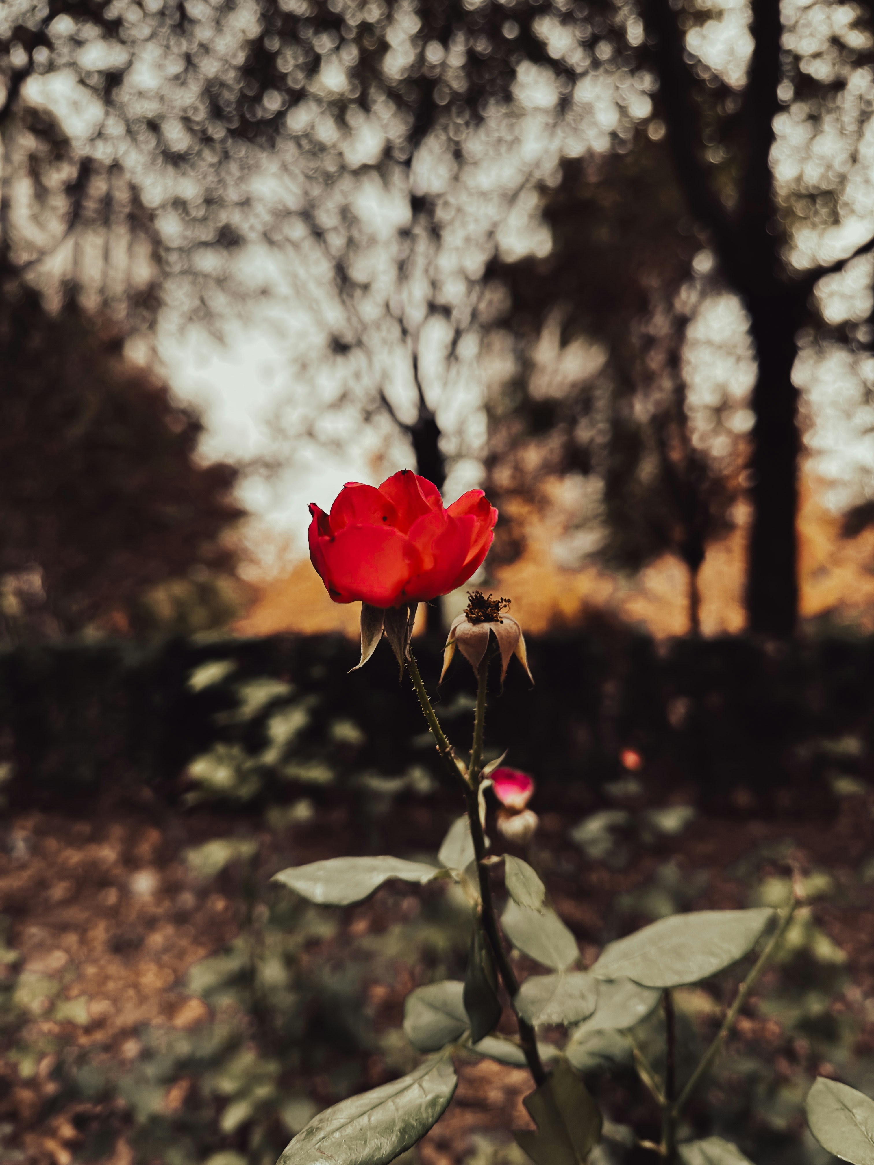 Photo by ibadcool
