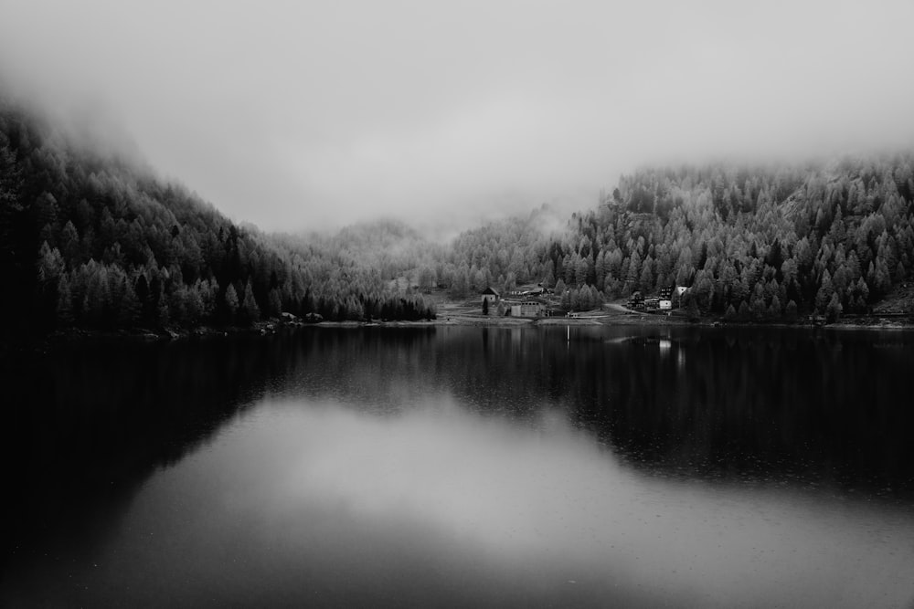 a lake surrounded by trees