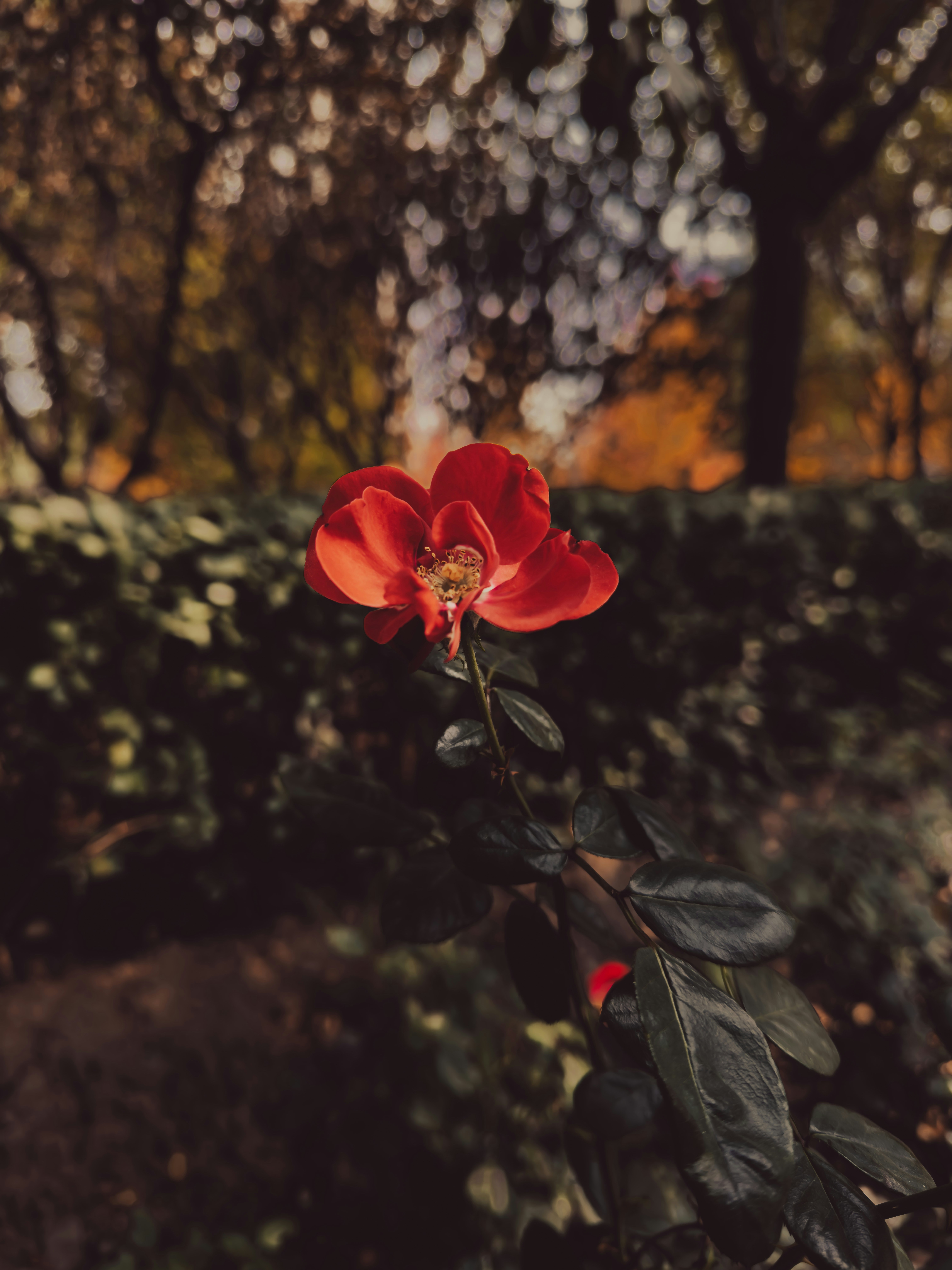 Photo by ibadcool