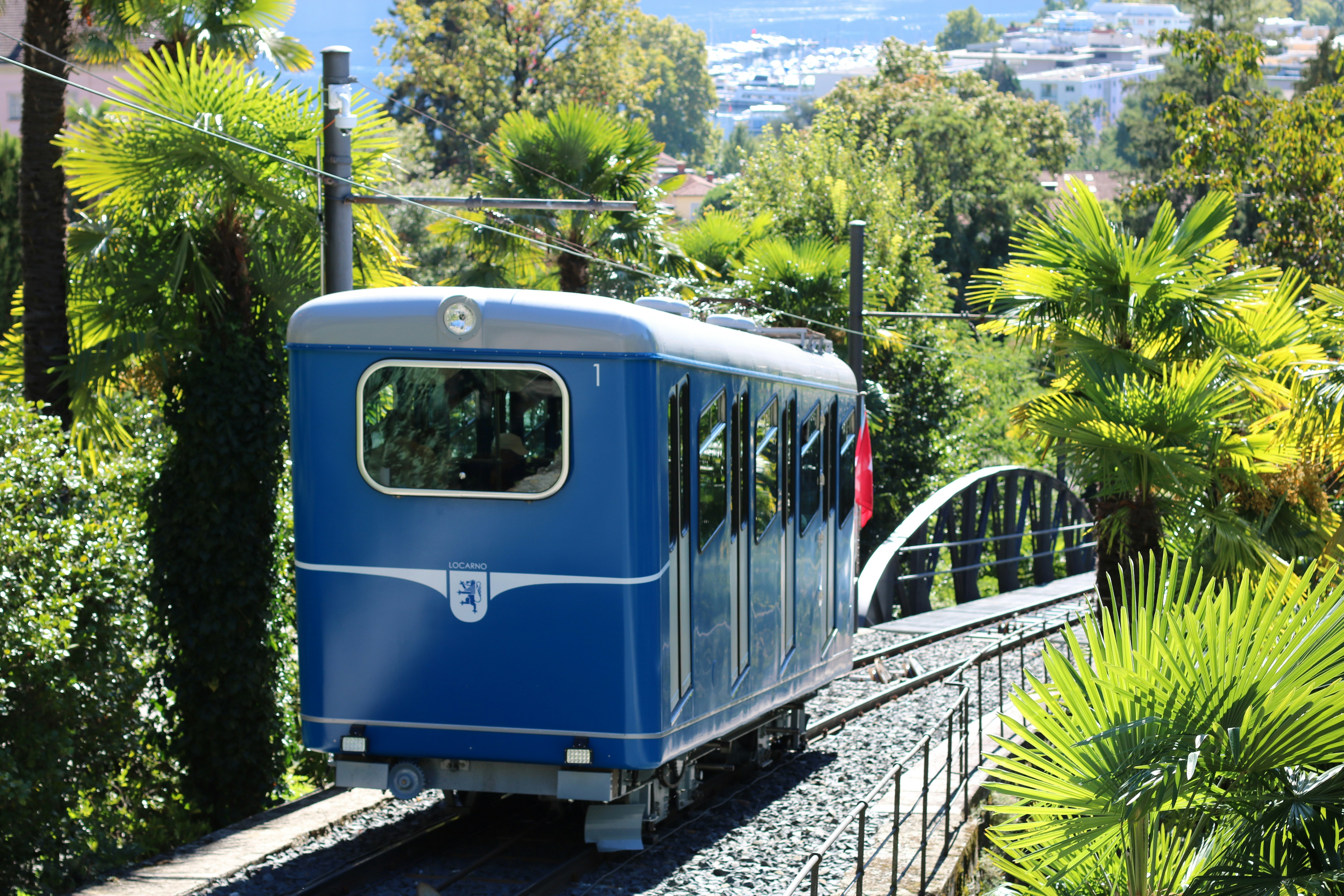 Un treno viaggia lungo i binari