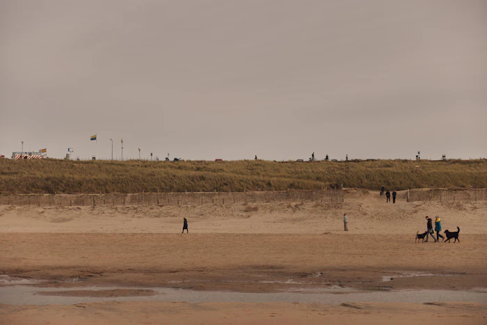 Beaches For Kids
