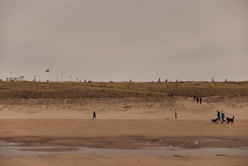 Best Beaches for Kids Near Haarlem: Safe, Shallow, and Worth the Drive