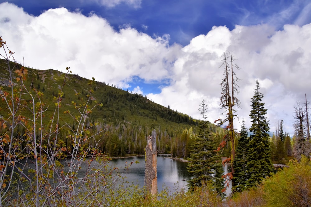 a lake surrounded by trees and mountains